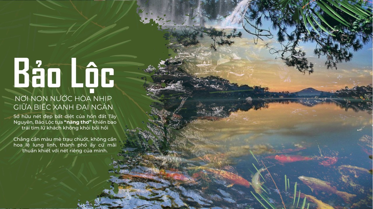 70 Dambri Bảo Lộc