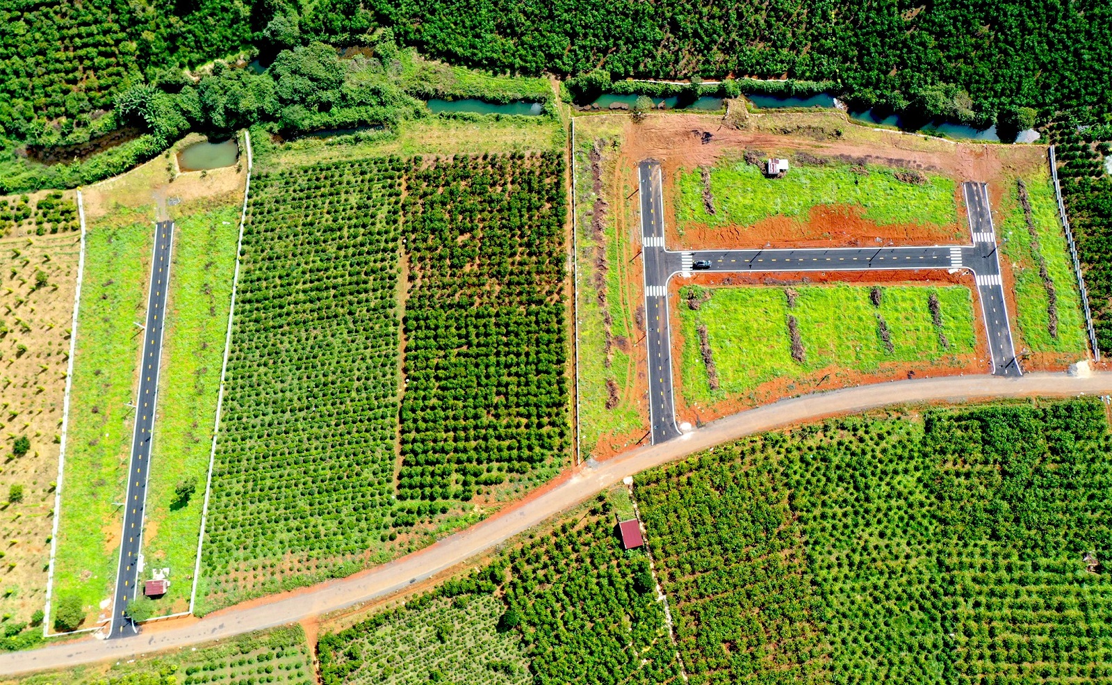 50 Lộc Quảng Bảo Lộc