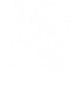 bg-shape