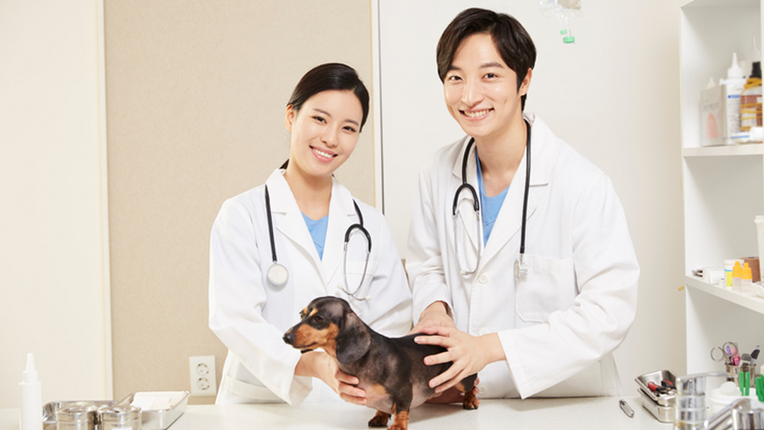 Giấy Phép Kinh Doanh Thuốc Thú Y
